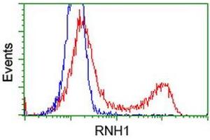 HEK293T cells transfected with either RC208360 overexpress plasmid (Red) or empty vector control plasmid (Blue) were immunostained by anti-RNH1 antibody (ABIN2453614), and then analyzed by flow cytometry. (RNH1 Antikörper)