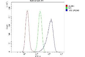 Flow Cytometry analysis of A549 cells using anti-HGS antibody (ABIN7601205). (HGS Antikörper  (AA 3-777))