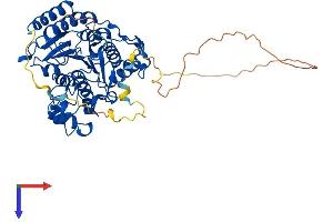 HDAC2 Protein (AA 1-488) (His tag)