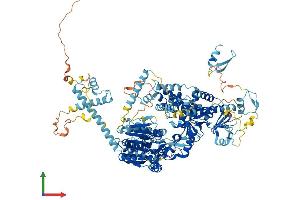 Protein Structure (PS) image for DEAH (Asp-Glu-Ala-His) Box Polypeptide 34 (DHX34) (AA 1-1143) protein (His tag) (ABIN7553655)
