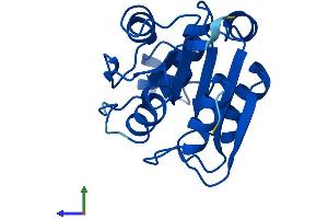AlphaFold protein structure predicition of Human Recombinant RBBP9 Protein, UniprotID O75884