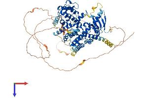 ARHGAP28 Protein (AA 1-729) (His tag)