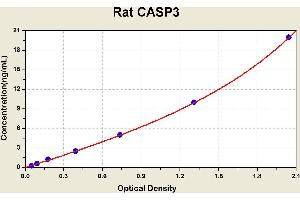 Diagramm of the ELISA kit to detect Rat CASP3with the optical density on the x-axis and the concentration on the y-axis. (Caspase 3 ELISA Kit)