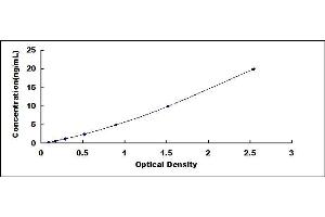 Typical standard curve (TLR6 ELISA Kit)