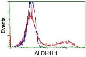 HEK293T cells transfected with either RC213720 overexpress plasmid (Red) or empty vector control plasmid (Blue) were immunostained by anti-ALDH1L1 antibody (ABIN2452751), and then analyzed by flow cytometry. (ALDH1L1 Antikörper)