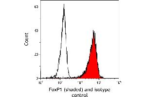 Flow Cytometry (FACS) image for anti-Forkhead Box P1 (FOXP1) (AA 627-677) antibody (ABIN7454010)
