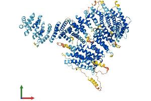 Protein Structure (PS) image for Fanconi Anemia Complementation Group I (FANCI) (AA 1-1330) protein (His tag) (ABIN7564645)