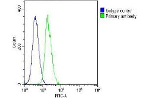 Overlay histogram showing NIH/3T3 cells stained with (ABIN6242693 and ABIN6578667) (green line). (Vinculin Antikörper  (AA 634-668))