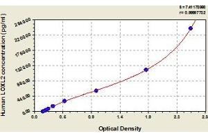 LOXL2 ELISA Kit