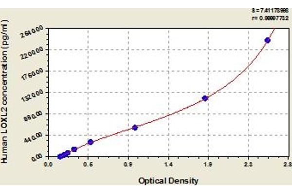 LOXL2 ELISA Kit