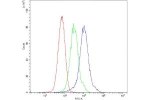 Flow cytometry testing of mouse ANA-1 cells with ARSA antibody at 1ug/10^6 cells (blocked with goat sera) (Arylsulfatase A Antikörper)