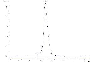 Size-exclusion chromatography-High Pressure Liquid Chromatography (SEC-HPLC) image for Interleukin 4 Receptor (IL4R) (AA 24-232) protein (His tag) (ABIN7274992)