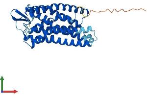 FFAR1 Protein (AA 1-300) (His tag)