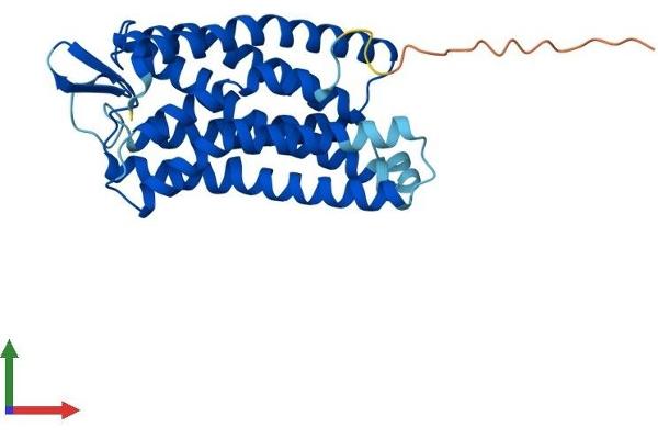 FFAR1 Protein (AA 1-300) (His tag)
