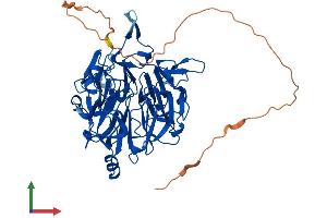Protein Structure (PS) image for Regulator of Chromosome Condensation 2 (RCC2) (AA 1-522) protein (His tag) (ABIN7551341)