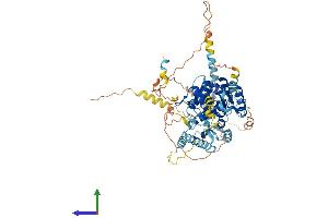 Protein Structure (PS) image for Large Subunit GTPase 1 Homolog (Lsg1) (AA 1-644) protein (His tag) (ABIN7557224)