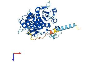 B3GNT8 Protein (AA 1-389) (His tag)