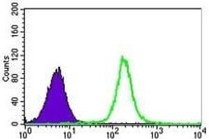 Flow cytometric analysis of K562 cells using HNRNPU mouse mAb (green) and negative control (purple). (HNRNPU Antikörper)