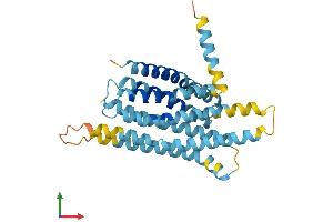 Protein Structure (PS) image for Taste Receptor, Type 2, Member 5 (TAS2R5) (AA 1-299) protein (His tag) (ABIN7544106)