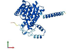 Protein Structure (PS) image for Epidermal Retinal Dehydrogenase 2 (RDHE2) (AA 1-309) protein (His tag) (ABIN7558259)