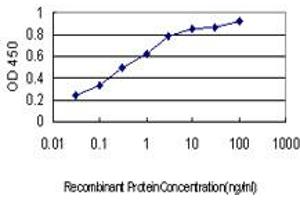 Detection limit for recombinant GST tagged KIF15 is approximately 0. (KIF15 Antikörper  (AA 1279-1385))