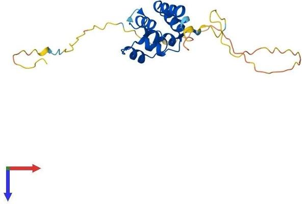 EDARADD Protein (AA 1-208) (His tag)