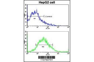 Flow Cytometry (FACS) image for anti-Leucine-Rich Repeat Containing G Protein-Coupled Receptor 5 (LGR5) (AA 238-270), (N-Term) antibody (ABIN5536143)