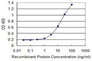 Detection limit for recombinant GST tagged ZNF3 is 0. (ZNF3 Antikörper  (AA 1-110))