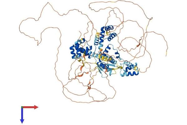 ZHX3 Protein (AA 1-956) (His tag)