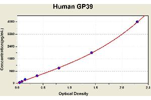 Diagramm of the ELISA kit to detect Human GP39with the optical density on the x-axis and the concentration on the y-axis. (CHI3L1 ELISA Kit)