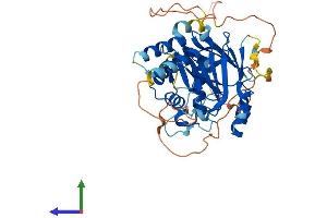 Protein Structure (PS) image for Interferon Regulatory Factor 8 (IRF8) (AA 1-426) protein (His tag) (ABIN7548646)