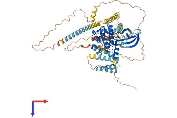 NEK11 Protein (AA 1-628) (His tag)