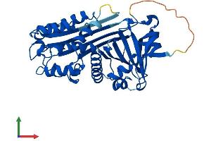 AlphaFold protein structure predicition of Mouse Recombinant Serpinb1a Protein, UniprotID Q9D154