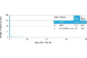 Protein Array (PAr) image for anti-Oligodendrocyte Lineage Transcription Factor 2 (OLIG2) antibody (ABIN7456327) (OLIG2 Antikörper)