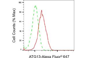 Flow cytometric analysis of ATG13 expression in HT- cells using ATG13 antibody (ABIN7797708), 1:2,000). (Rekombinanter ATG13 Antikörper)