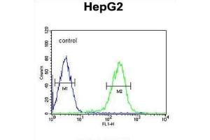 Flow Cytometry (FACS) image for anti-SMAD, Mothers Against DPP Homolog 6 (SMAD6) antibody (ABIN3002311) (SMAD6 Antikörper)