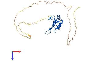 RBM24 Protein (AA 1-236) (His tag)