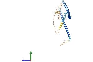 Protein Structure (PS) image for Coiled-Coil Domain Containing 83 (CCDC83) (AA 1-305) protein (His tag) (ABIN7560997)