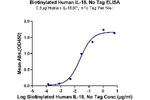 Immobilized Human IL-18BP, hFc Tag at 5 μg/mL (100 μL/well) on the plate. (IL-18 Protein (AA 37-193) (Biotin))