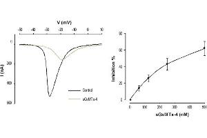 GsMTx-4 peptide