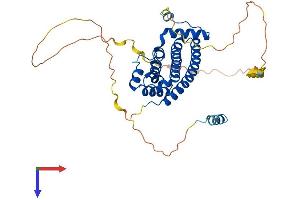 IST1 Protein (AA 1-362) (His tag)