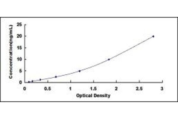 EPH Receptor A3 ELISA Kit