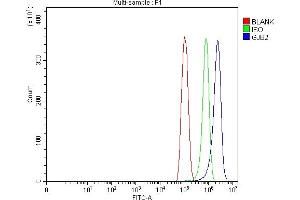 Flow Cytometry analysis of PC-3 cells using anti-GJB2 antibody (ABIN7603054).