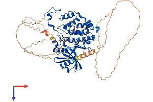 CDC7 Protein (AA 1-574) (His tag)