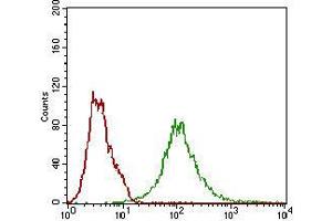 Flow Cytometry (FACS) image for anti-Beta-secretase 1 (BACE1) (AA 112-324) antibody (ABIN2682977)