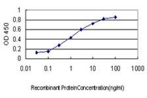 Detection limit for recombinant GST tagged NRF1 is approximately 0. (NRF1 Antikörper  (AA 201-285))