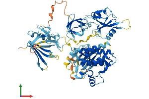Protein Structure (PS) image for IL2-Inducible T-Cell Kinase (ITK) (AA 1-625) protein (His tag) (ABIN7563591)