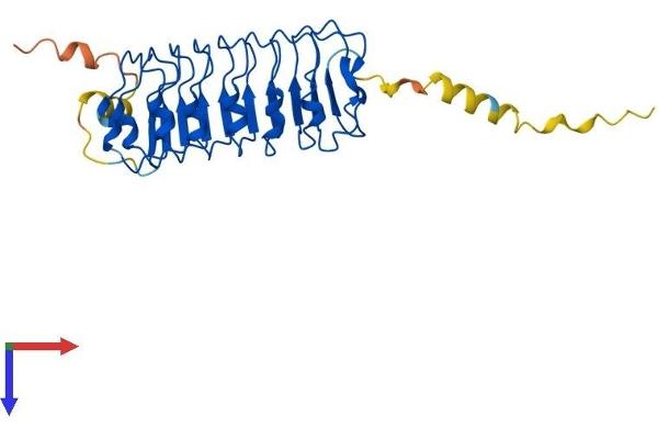 LRRC10 Protein (AA 1-274) (His tag)