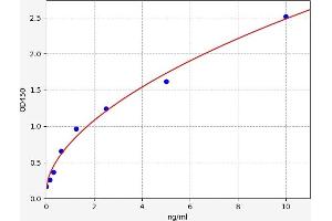 VIPR1 ELISA Kit