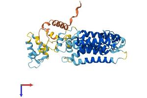 RHBDL3 Protein (AA 1-404) (His tag)